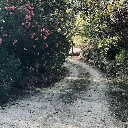 Moradia Na Serra Alcanede エクステリア 写真
