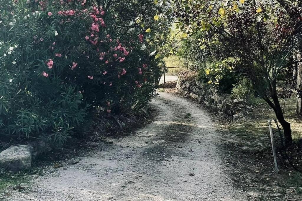 Moradia Na Serra Alcanede エクステリア 写真